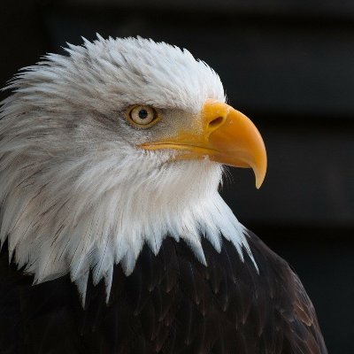 Profile Picture of KPEKPE DJAKO CEDRIC (@KpekpeC) on Twitter