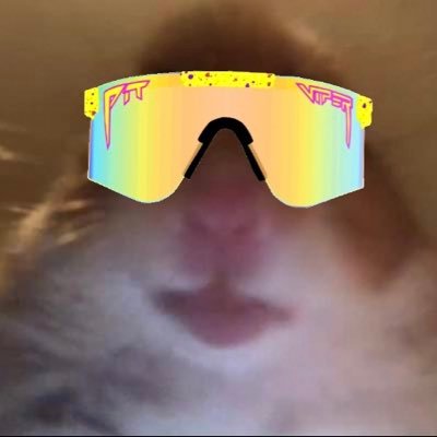 Profile Picture of Christian Wielichowski (@HappyWili0nTour) on Twitter