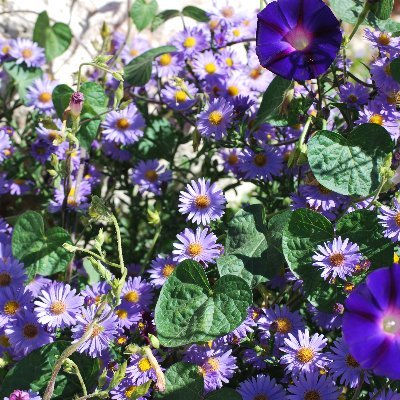 Profile Picture of Michelle Griffith (@bradford1005) on Twitter