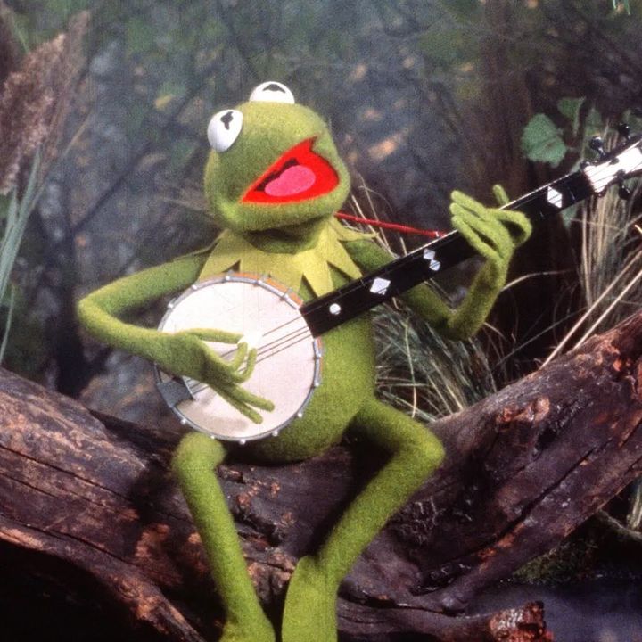 Profile Picture of “Fuh going on teach” (@kermit_f1) on Tiktok