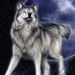 Profile Picture of Alexandre Binette (@alexbinette1) on Pinterest