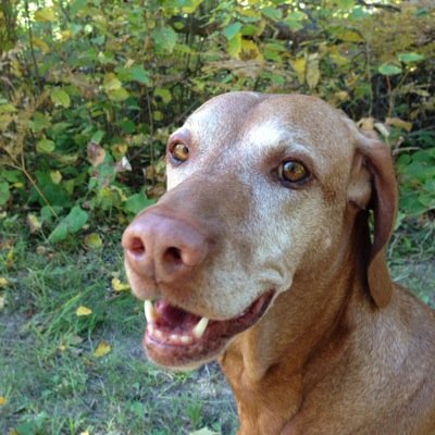 Profile Picture of Nobody2u (@davidkalin) on Twitter