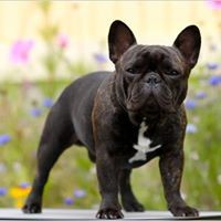 Profile Picture of Malik Shabazz (@malik-shabazz-13) on Quora