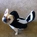 Profile Picture of Sallie Key (@salliekey) on Pinterest