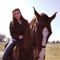 Profile Picture of Fay Stephens (@fayk) on Pinterest