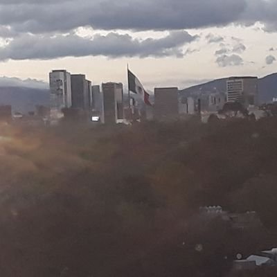 Profile Picture of Miguel Armenta (@miguelex85) on Twitter