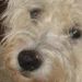 Profile Picture of Karla Ogle (@karlaogle) on Pinterest