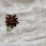 Profile Picture of Diane Leach (@dianesleach) on Instagram