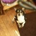 Profile Picture of Jeremy Hoggard (@jth122189) on Pinterest