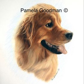 Profile Picture of Pet Portrait Drawings by Pamela Goodman (@madjonah) on Pinterest