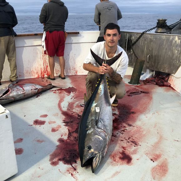 Profile Picture of Briant Patterson (@briantpatterson) on Poshmark