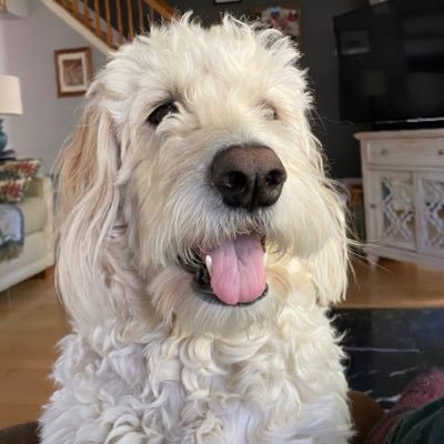 Profile Picture of Keith Werner (@keithwerner15) on Twitter