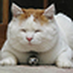Profile Picture of nathan_pan (@nathan_pan) on Flickr