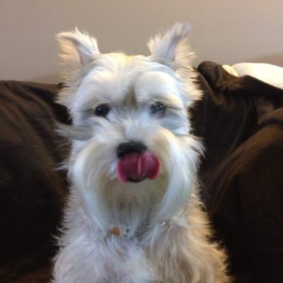 Profile Picture of Jerry McKee (@jerryleem412) on Twitter