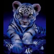 Profile Picture of Kendall Squires (@kendallsquires516) on Youtube