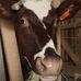 Profile Picture of Michael Dennett (@michael.dennett.39) on Facebook
