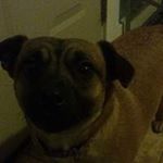 Profile Picture of Cody Szymanski (@cody.szymanski.984) on Instagram