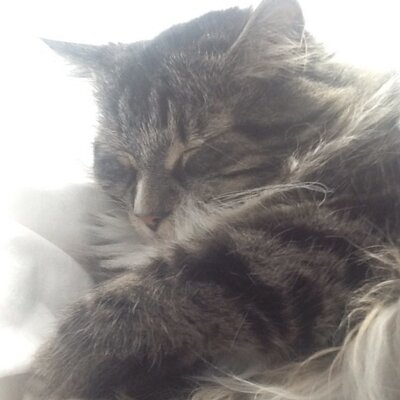 Profile Picture of Jeff Mathieu (@jfmathie) on Twitter