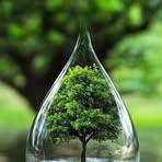 Profile Picture of Jaklie Roberto (@Jaklie-Roberto) on Facebook