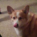 Profile Picture of Nathan Gilbert (@nathangilbert9165) on Instagram
