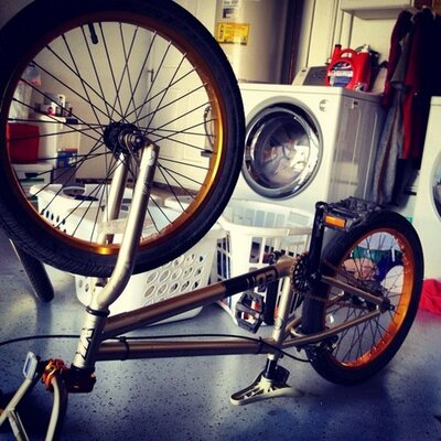 Profile Picture of Joe Miele (@JoeMiele13) on Twitter