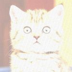 Profile Picture of Matthews Shavonne (@matthewsshavonne701) on Instagram