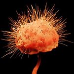 Profile Picture of Paul Roberts (@deflicted) on Instagram