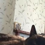 Profile Picture of Chloe Mclellan (@chloe.mclellan.92) on Facebook