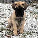 Profile Picture of Matt Cataldo (@matt.cataldo.9) on Facebook