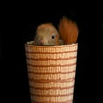 Profile Picture of Jessica Schubert (@Jessica-Schubert) on Facebook