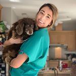 Profile Photo of Susan Waters (@vetstudentsusan) on Instagram