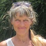 Profile Picture of kim nichols (@kimerican) on Instagram