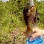 Profile Picture of Jon Weir (@jon.weir.92) on Instagram