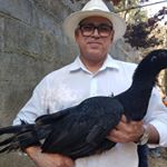 Profile Picture of Alberto Fonseca (@albertofonseca.mpal) on Instagram