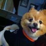 Profile Picture of davysoy (@davysoy) on Instagram