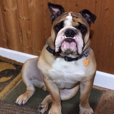 Profile Picture of Steven Pennock (@steven_pennock) on Twitter