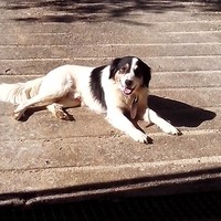 Profile Picture of Leonor Lopes (@leonor-lopes-27) on Quora