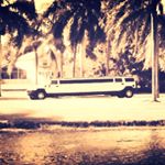 Profile Picture of EMMA WATSON BART (@emmawatsonbart) on Instagram