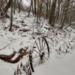 Profile Picture of Marlene Graber (@mgraber53) on Instagram