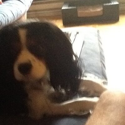 Marc Hachey - Twitter Profile Picture of Marc Hachey (@HacheyMarc) on Twitter