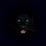 Profile Picture of Tony McElroy (@elvinason__8da) on Instagram