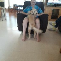 Profile Picture of Ken Stapleton (@ken-stapleton-13) on Quora