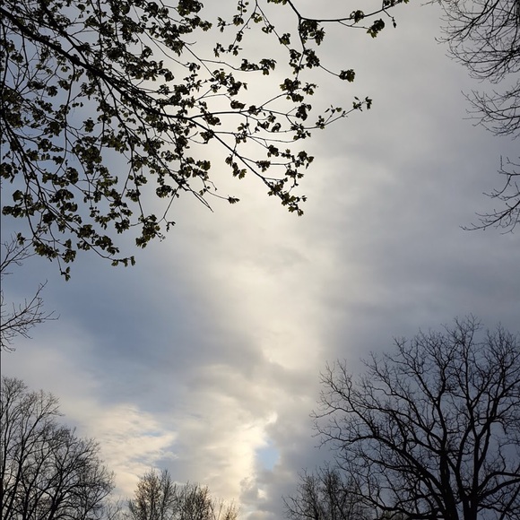 Profile Picture of Rosana Llamas (@joana82) on Poshmark