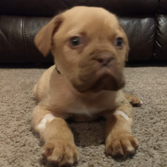 Paige Schinkel - Poshmark Profile Picture of Paige Schinkel (@paigeschin) on Poshmark