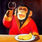 Profile Picture of Matthew Schiavone (@matthew_schiavone) on Instagram