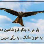 Profile Picture of Khaliq Shah (@khaliq.shah.315428) on Instagram