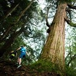 Profile Picture of Takumi Nakashima (@brianzimmerman75) on Instagram