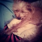 Profile Picture of savannahwimberly (@danielle.wimberly34) on Instagram