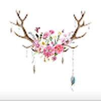 Profile Picture of Crystal Pereda (@crystal-pereda-1) on Quora