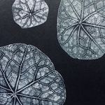 Profile Picture of Allie Sylvester (@allison_sylvester) on Instagram